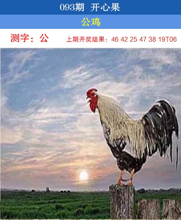 093期开心果[图]