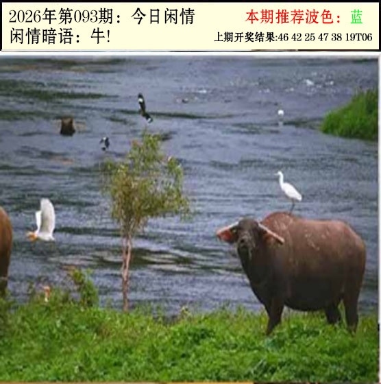 093期今日闲情2[图]