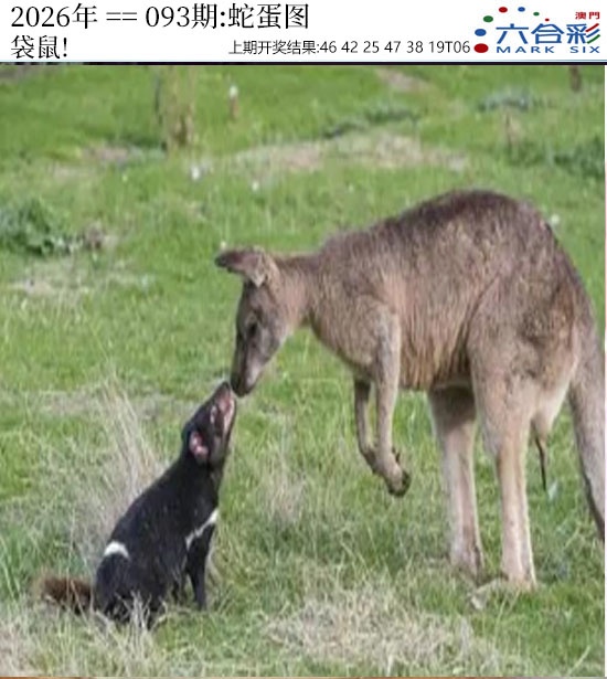 093期正版蛇蛋图[图]